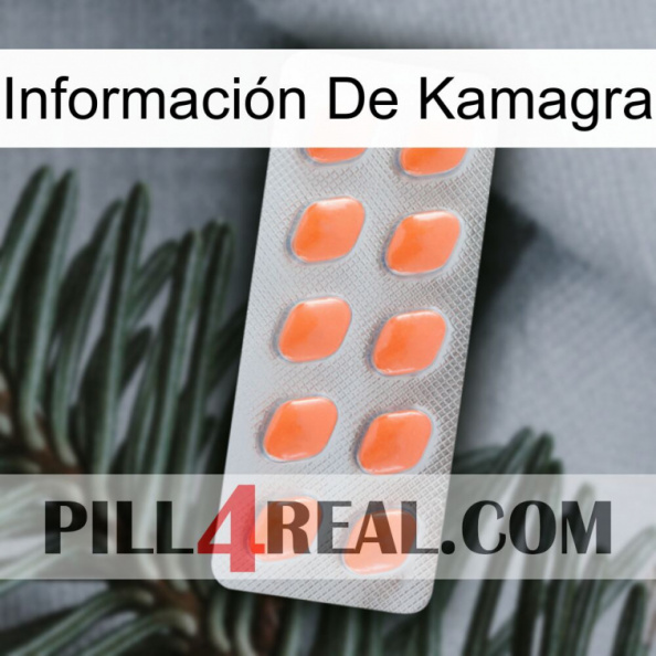 Información De Kamagra 26.jpg